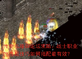 ����˽��GM��̳������սʿְҵPK���м�����δ�������Ч��