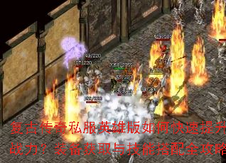 ���Ŵ���˽��Ӣ�۰���ο�������ս����װ����ȡ�뼼�ܴ���ȫ����