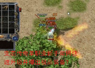 ��̬���浥ְҵ������ο���������������Ʒװ����