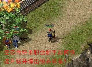 ��̬���浥ְҵ������ο���������������Ʒװ����