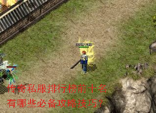 ����˽�����а�ǰʮ������Щ�ر����Լ��ɣ�