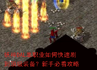 ����DAL��ְҵ��ο���ˢ������װ�������ֱؿ�����