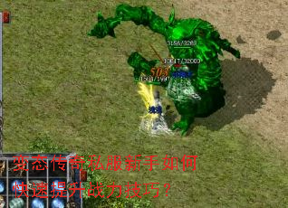 ��̬����˽��������ο�������ս�����ɣ�