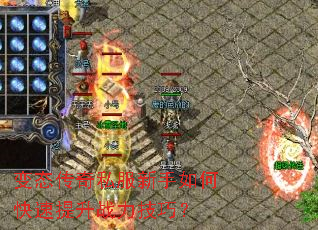 ��̬����˽��������ο�������ս�����ɣ�