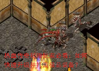 ��Ѫ����˽����ұؿ�����ο������������켫Ʒװ����