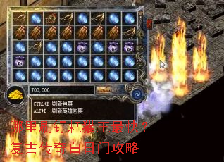 ����ˢ����è����죿���Ŵ�������Ź���