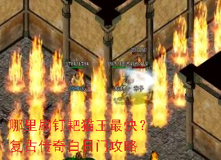 ����ˢ����è����죿���Ŵ�������Ź���