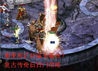 ����ˢ����è����죿���Ŵ�������Ź���