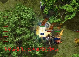 ������Ϸ���û����ǿְҵ��