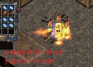 �����СϺ��һ�������ֳɳ�Ϊһ�����棿