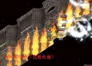 ���ǰ�����¹���ȣ�