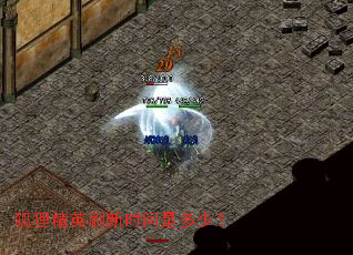 狐狸精英刷新时间是多少? 狐狸精英刷新时间是多少?