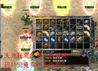 ��Ԫ�ؾ������еĶ�����Ƭ������ʲô���ã�