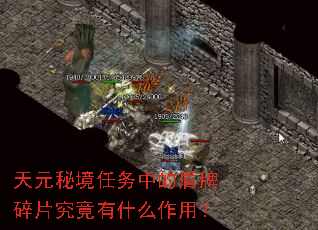 ��Ԫ�ؾ������еĶ�����Ƭ������ʲô���ã�