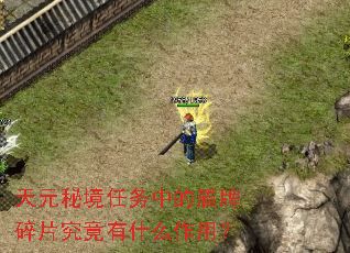 ��Ԫ�ؾ������еĶ�����Ƭ������ʲô���ã�