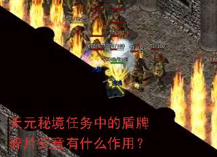 ��Ԫ�ؾ������еĶ�����Ƭ������ʲô���ã�