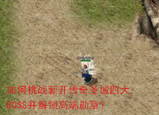 如何挑战新开传奇圣域四大BOSS并解锁高端勋章? 如何挑战新开传奇圣域四大BOSS并解锁高端勋章?