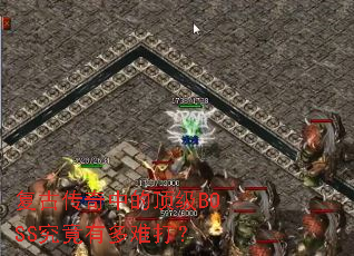 ���Ŵ����еĶ���BOSS�����ж��Ѵ�