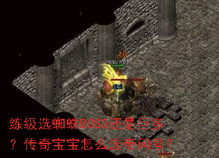 ����ѡ֩��BOSS���Ǿ޶ࣿ���汦����ôѡ���ʺţ�