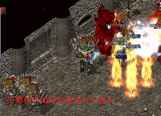 ����������ο��ٳɳ�Ϊ���֣�