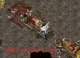 ����������ο��ٳɳ�Ϊ���֣�