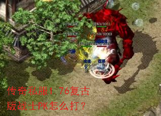 ����˽��1.76���Ű�սʿPK��ô��