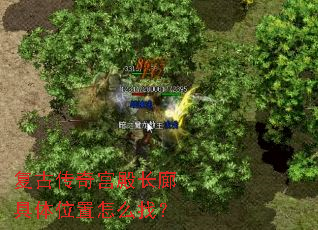 ���Ŵ��湬��Ⱦ���λ����ô�ң�