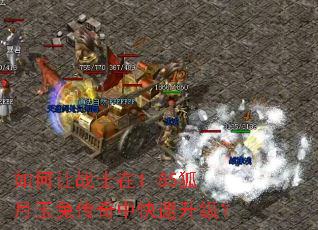 如何让战士在1.85狐月玉兔传奇中快速升级? 如何让战士在1.85狐月玉兔传奇中快速升级?