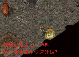 如何让战士在1.85狐月玉兔传奇中快速升级? 如何让战士在1.85狐月玉兔传奇中快速升级?