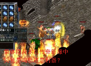 集体隐身术在传奇新服中究竟是鸡肋还是利器? 集体隐身术在传奇新服中究竟是鸡肋还是利器?