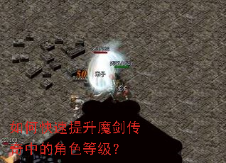 ��ο�������ħ�������еĽ�ɫ�ȼ���