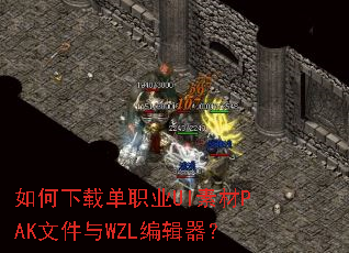 ������ص�ְҵUI�ز�PAK�ļ���WZL�༭����