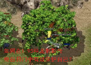 �����1.95������Ӱ�������������Ч�����Լ���