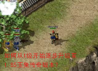 ��δ�1����ʼ��������1.85���ô���汾��