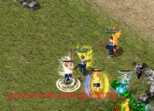 如何获得传奇中的神圣冰冻项链? 如何获得传奇中的神圣冰冻项链?