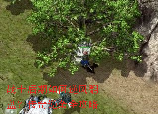 战士后期如何逆风翻盘?传奇逆袭全攻略 战士后期如何逆风翻盘?传奇逆袭全攻略