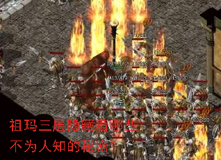 ����������������Щ��Ϊ��֪�����ܣ�