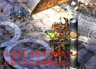 如何从新手村菜鸟蜕变为称霸沙巴克的传奇王者? 如何从新手村菜鸟蜕变为称霸沙巴克的传奇王者?