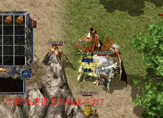 ��ο���������ɫս������