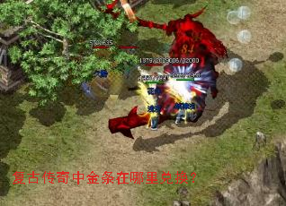 ���Ŵ����н���������һ���