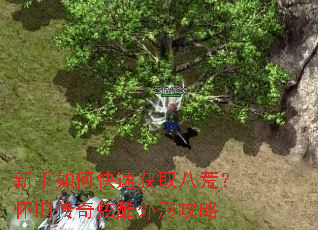 ������ο��ٻ�ȡ�˻ģ����ɴ����ſ����ι���