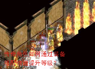 �����ɫ���ͨ��װ��������������ȼ���