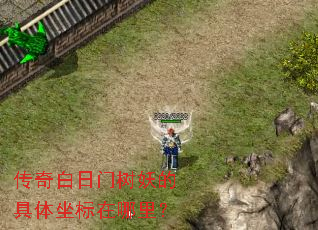 ��������������ľ������������