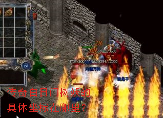 ��������������ľ������������