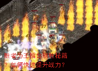 胜者为王擂台制胜秘籍?如何快速提升战力? 胜者为王擂台制胜秘籍?如何快速提升战力?