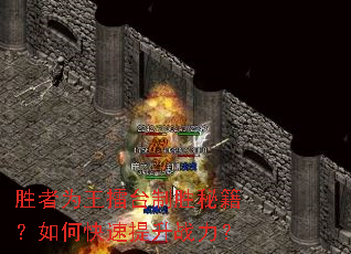 胜者为王擂台制胜秘籍?如何快速提升战力? 胜者为王擂台制胜秘籍?如何快速提升战力?