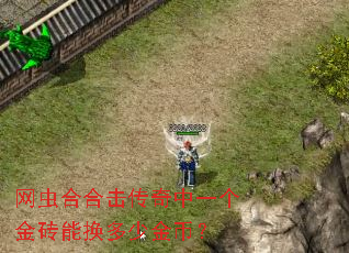 网虫合合击传奇中一个金砖能换多少金币? 网虫合合击传奇中一个金砖能换多少金币?