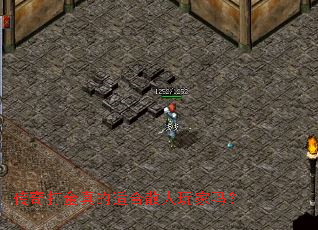 ����������ʺ�ɢ�������