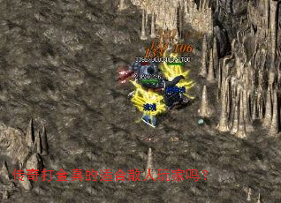 ����������ʺ�ɢ�������