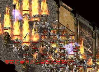 ����������ʺ�ɢ�������